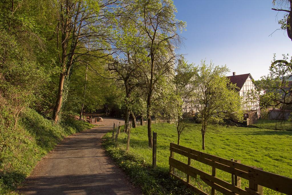 Hotel Am Lingelbach Knüllwald Exterior foto